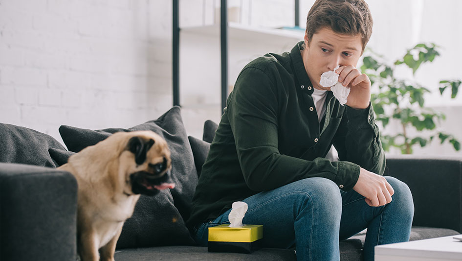 Purchasing an air purifier is one of the top approaches to improve your house’s indoor air quality. Find out more about the three smartest products. 